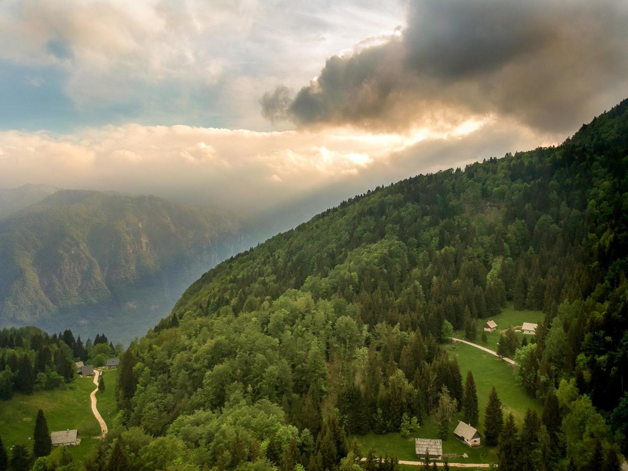 Chalet Vogar Bohinj Exterior foto